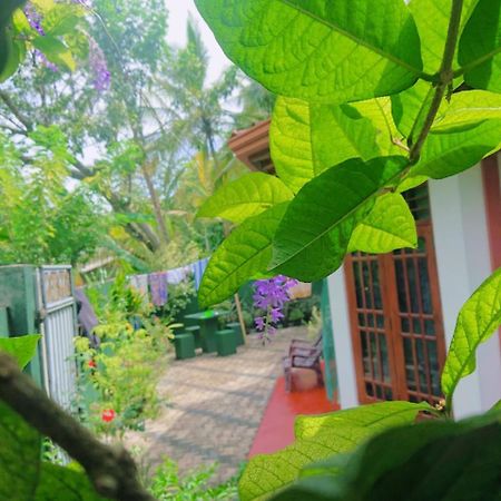 Kavee Guest Hotel Bentota Bagian luar foto