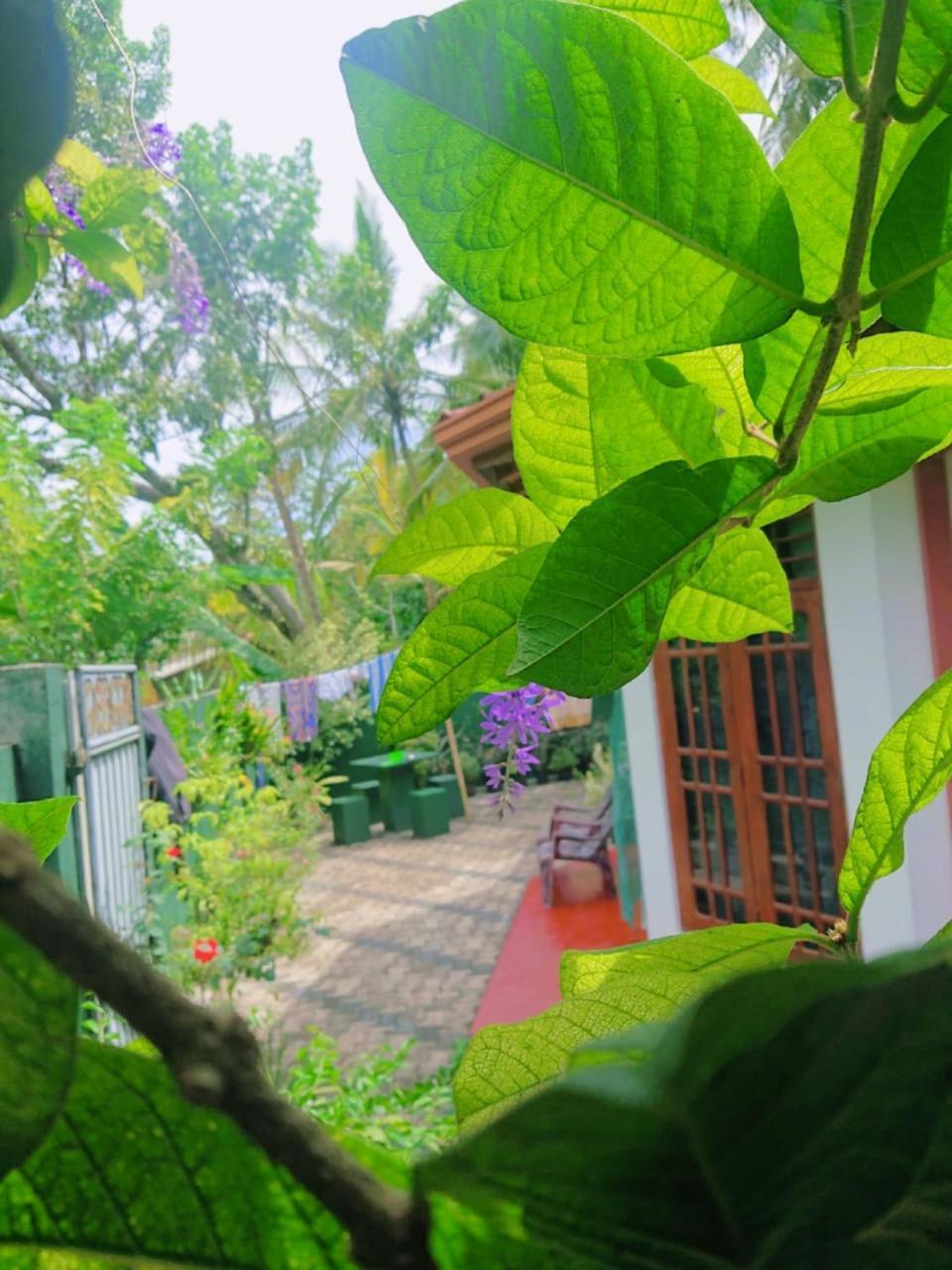 Kavee Guest Hotel Bentota Bagian luar foto