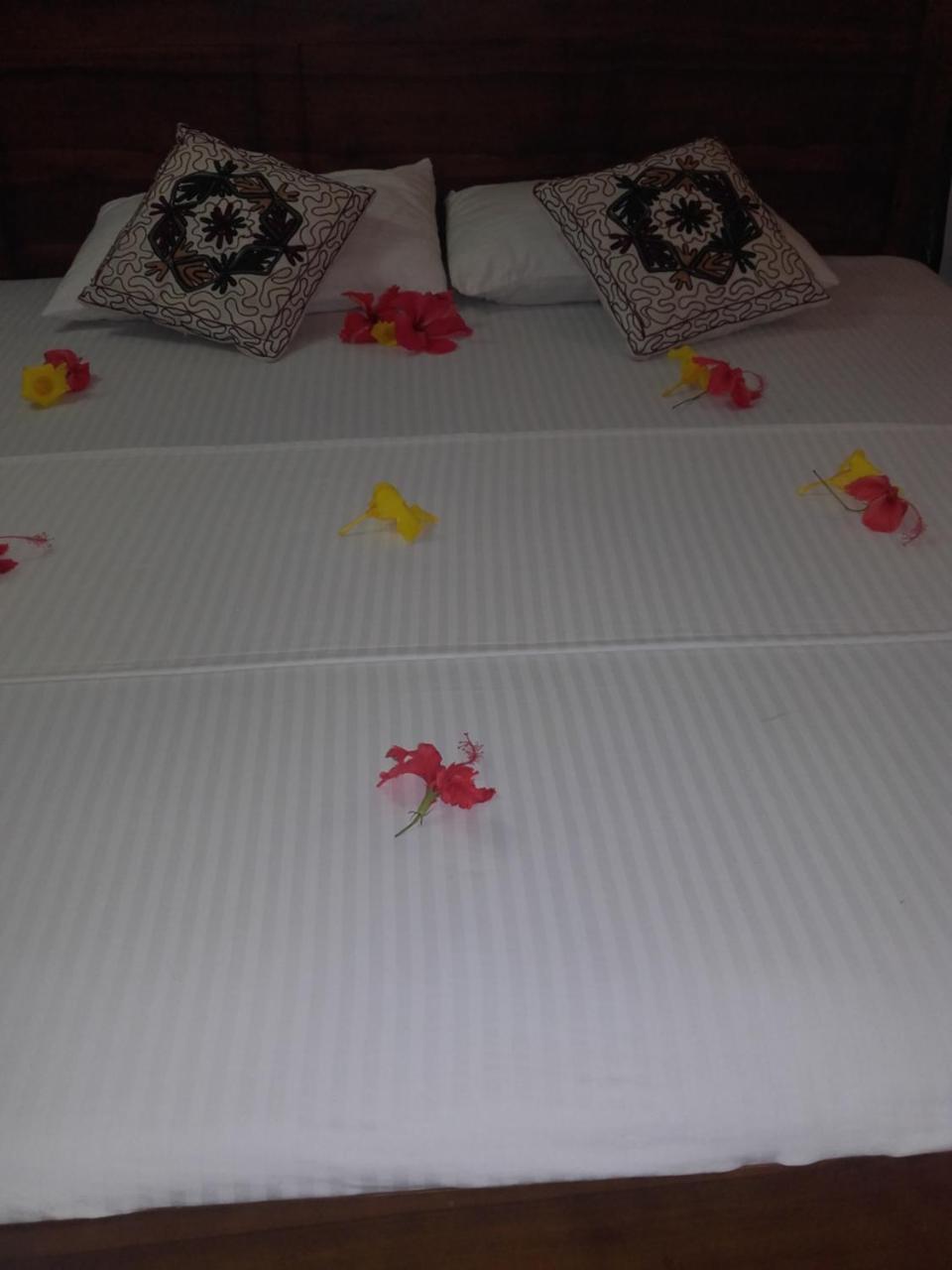 Kavee Guest Hotel Bentota Bagian luar foto